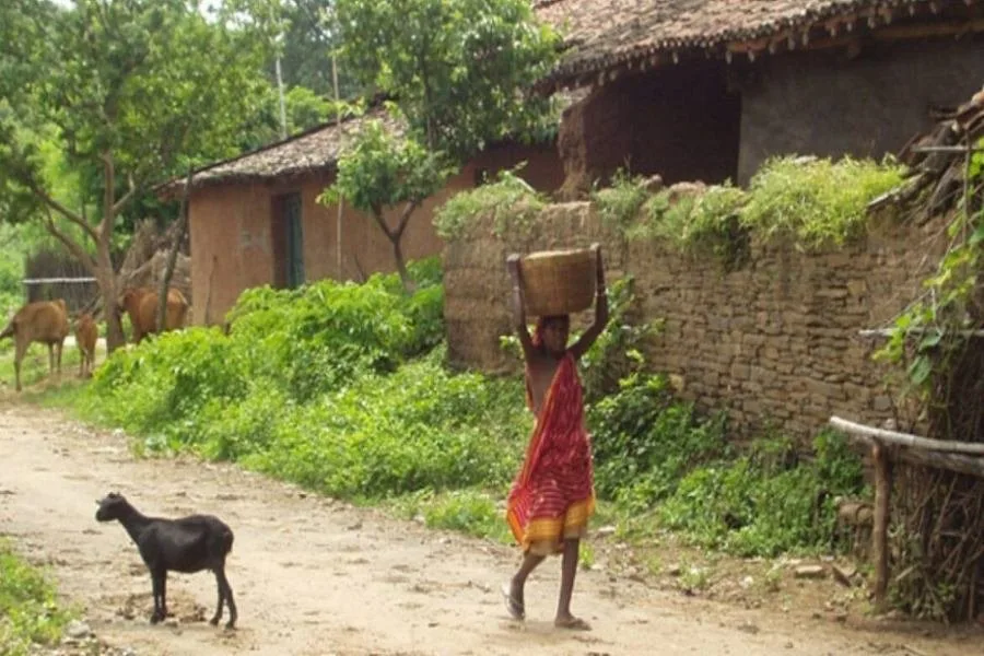 Rural Digital India: हर गांव की सड़क को मिलेगा यूनिक नाम और QR कोड, राहत सुविधाएं होंगी बेहतर