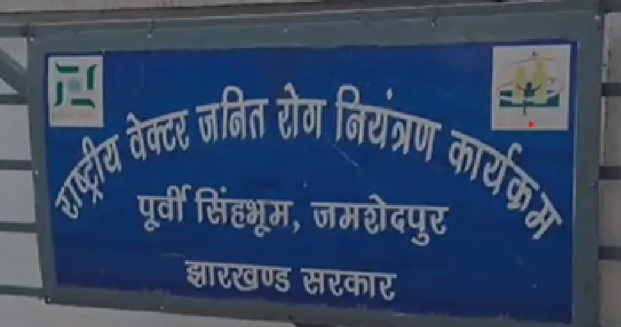 पूर्वी सिंहभूम में मलेरिया के बढ़ते मामले: 12 दिनों में 1,731 मरीज और 6 मौतें