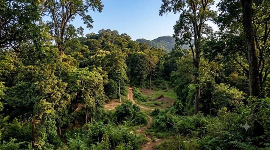 कोबरा ऑपरेशन झारखंड: दलमा के जंगलों में माओवादी के खिलाफ सुरक्षा बलों का बड़ा अभियान