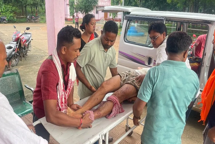 चाकुलिया में हाथियों का तांडव: बुजुर्ग की मौत, नाती ने जिद से बचाई जान